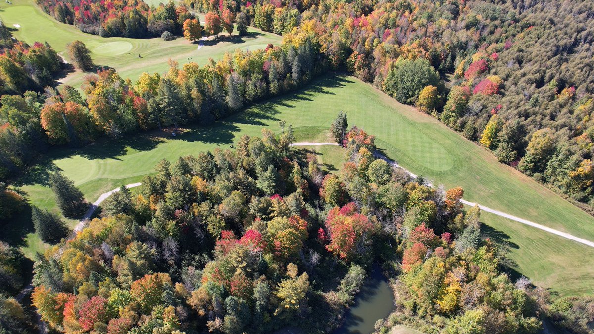 Gerry Bower tweet media