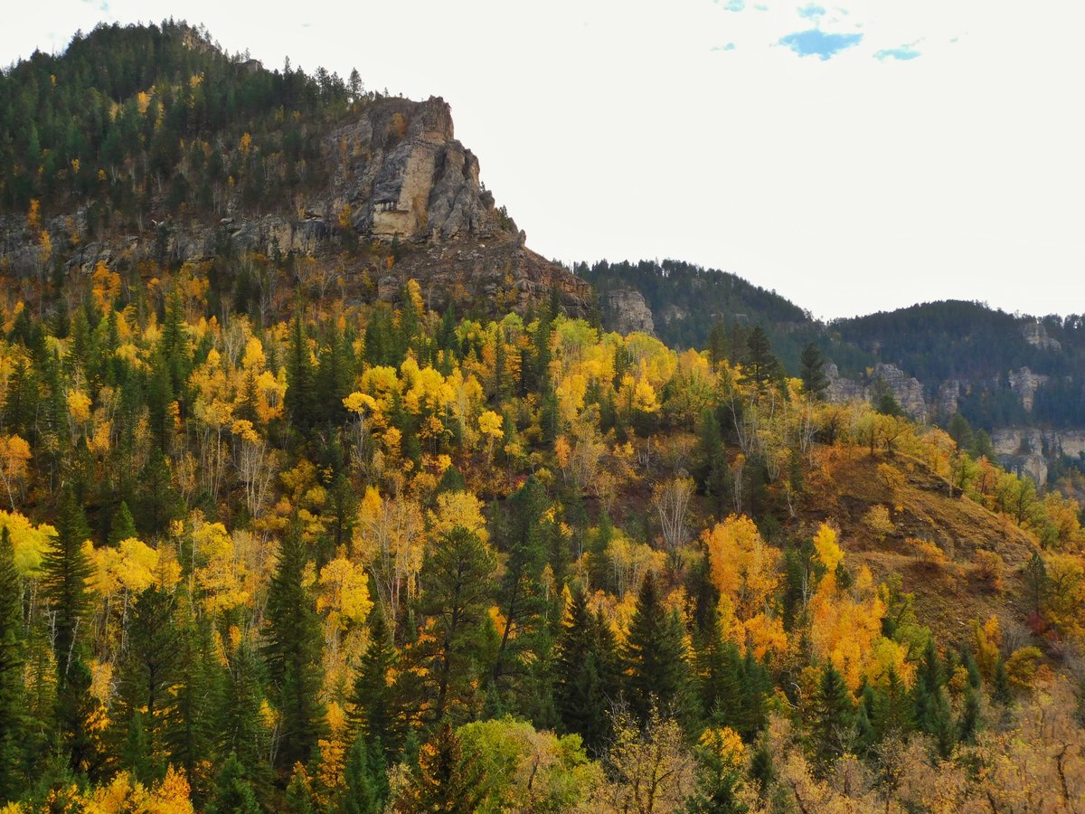 thedarshadodge's tweet photo. If you haven’t made it to Spearfish Canyon for peak leaf-peeping season, I’ve got you! https://t.co/BwT61sVLpT