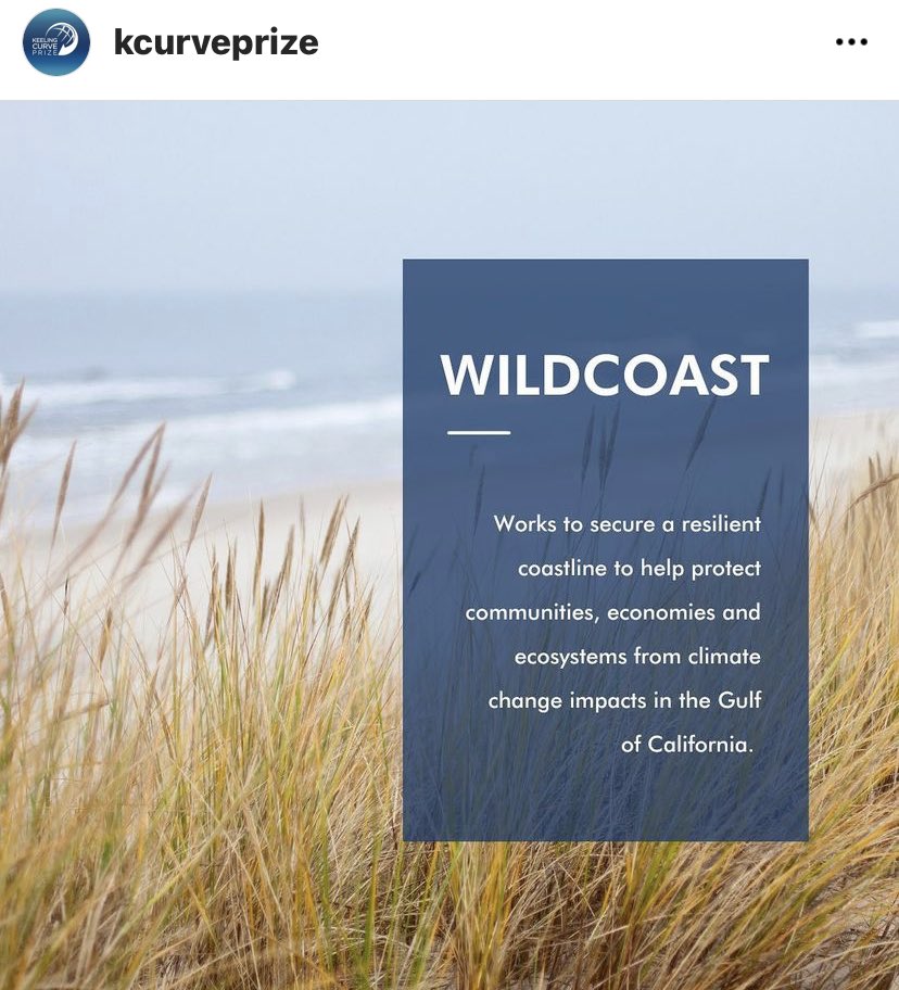 Thank you to @kcurveprize for highlighting WILDCOAST for #HabitatDay 2022! We're working to protect critical coastal & marine habitat throughout #California & #Mexico