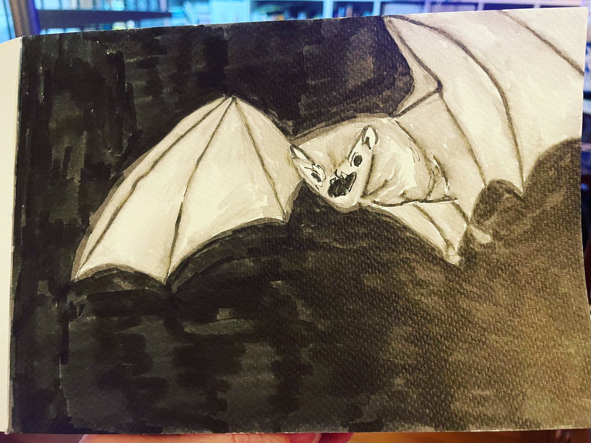 Meg_G_author's tweet image. Today’s #inktober prompt is #bat. I definitely should work this into a print this weekend. #spooky #inktober2022 #inktober2022bat #inktober2022day3 #halloween