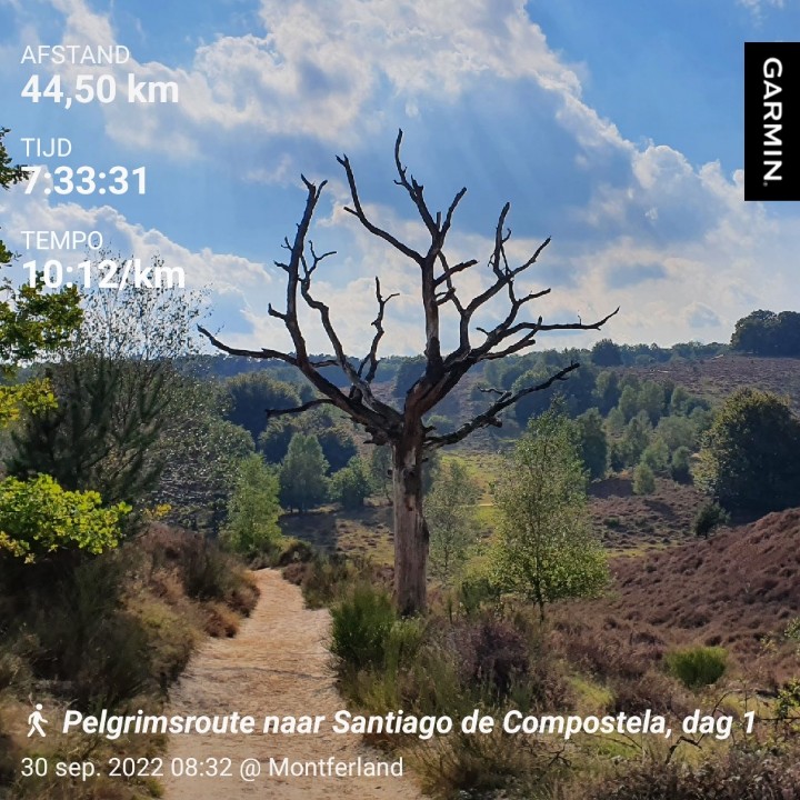 #Pelgrimsroute naar #Santiago de #Compostela, dag 1

Oud-Dijk (#Didam) - #Arnhem: 44,50 km

#SantiagoDeCompostela 
#OudDijk