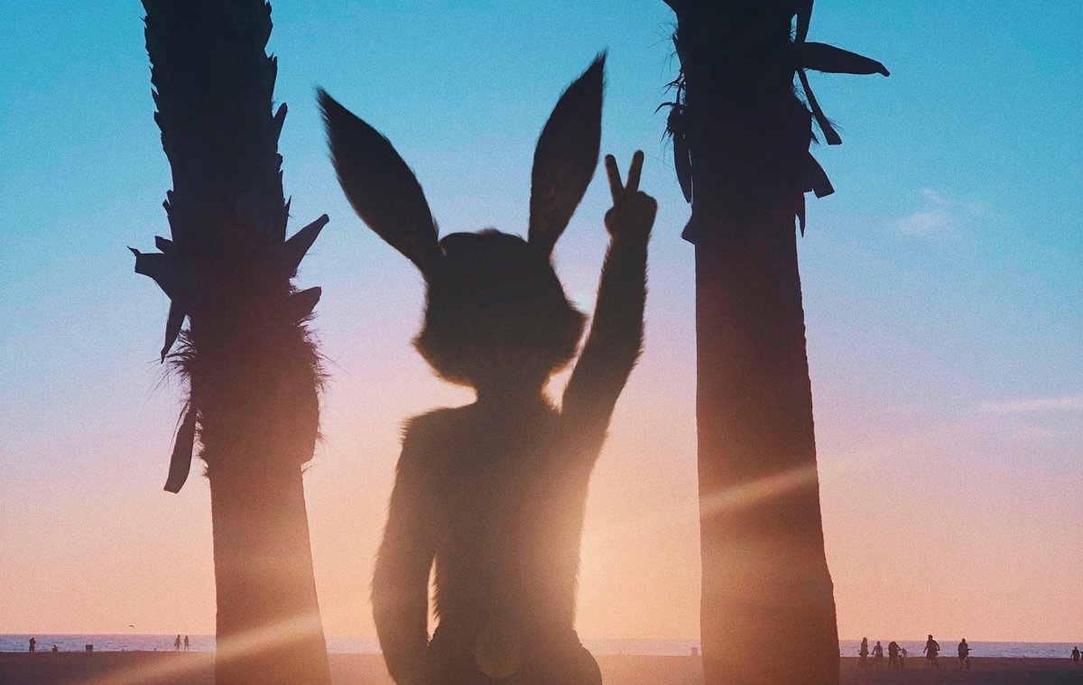 musicben 🎧 tweet media