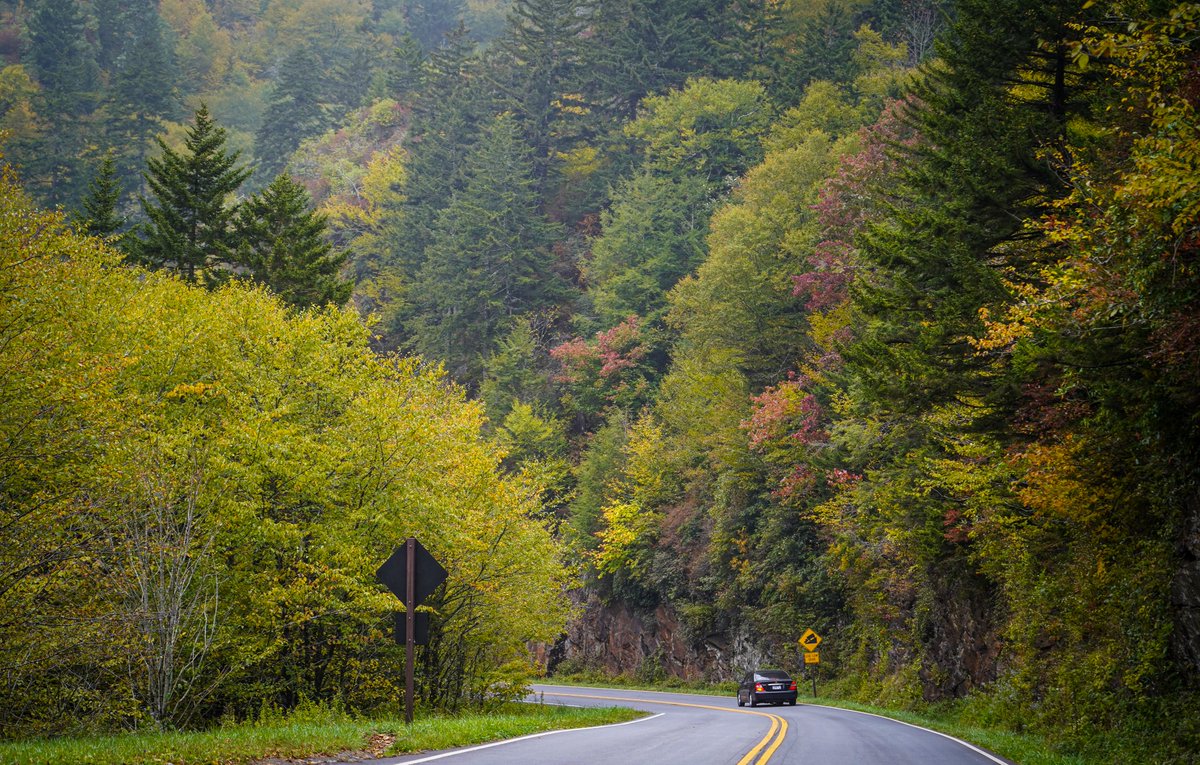 TravelGburg's tweet photo. A few fall colors are starting to appear in the Smokies. https://t.co/bTYgVG8qRj