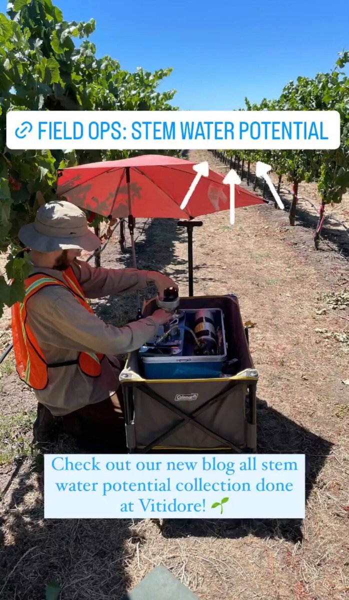 vitidore's tweet photo. Vitidore's field operations team takes stem water potential readings from farms! Learn more in our latest blog post:
https://t.co/ULkaWDRD7Q https://t.co/h5qhvWwqTQ