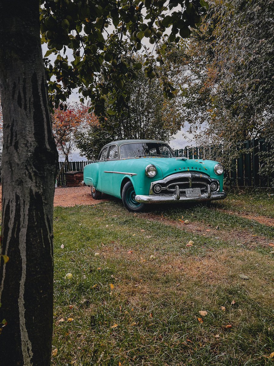 blbs_'s tweet photo. Packard в деревне https://t.co/crbjkqPXkh