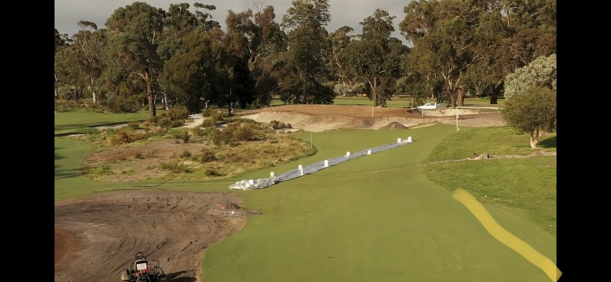 sbhosking's tweet photo. @moakley88 @Robert_Peake @CommonwealthGC These went this week. As did the small bunch between 14 &amp; 15 opening up more great vistas. 👏👏We are on the right track! https://t.co/iUhQ9gGAfS