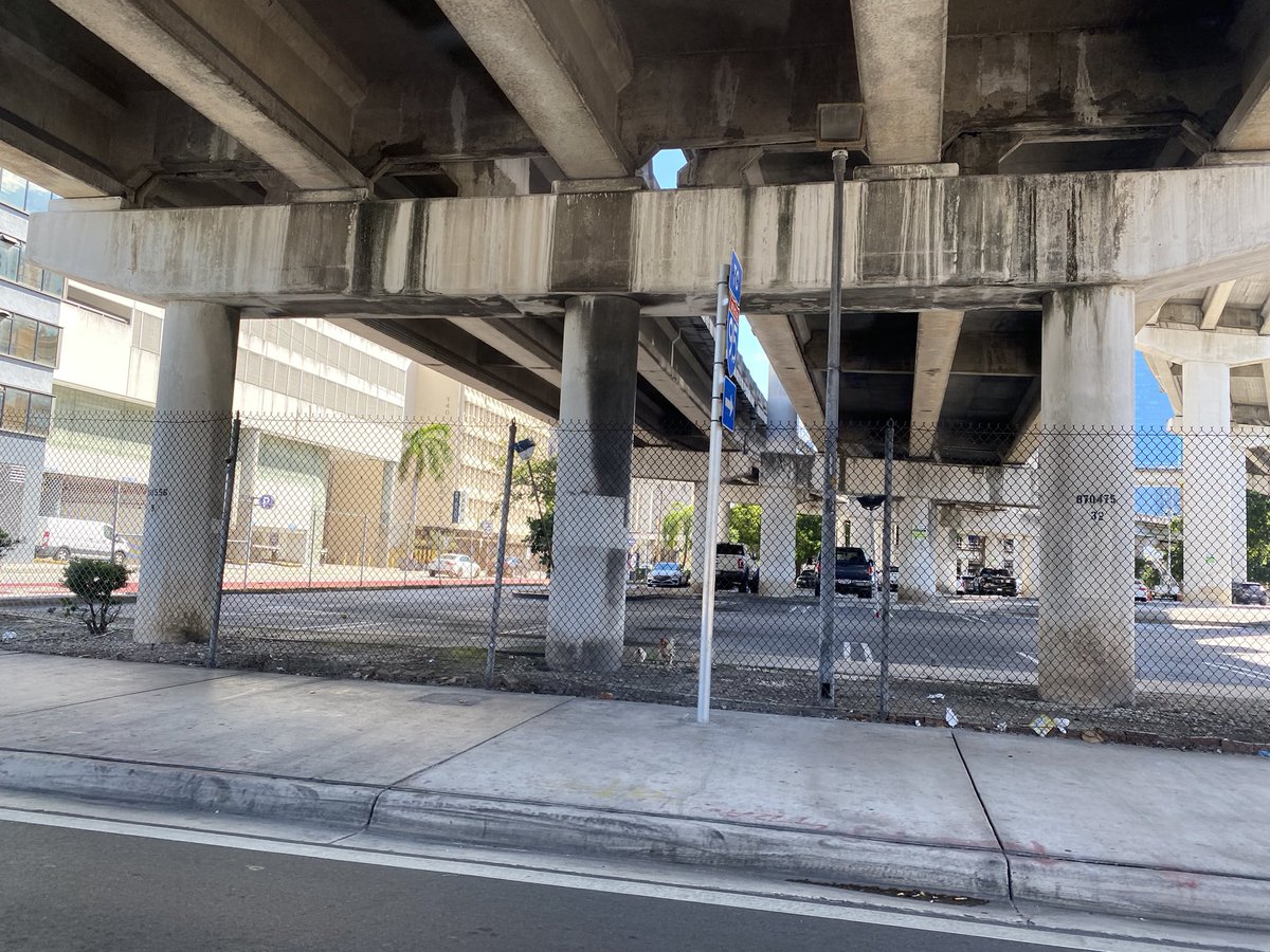 Why are there chickens I. A parking lot in Miami!?