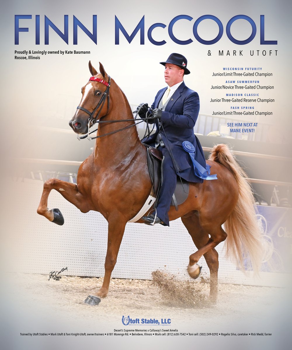 TNH1865's tweet photo. #nationalhorseman #wisconsinfuturity #asawsummerfun #madisonclassic #fashspring #markutoft #utoftstablellc #3gaited #saddlebred https://t.co/hGVtRzHQCX