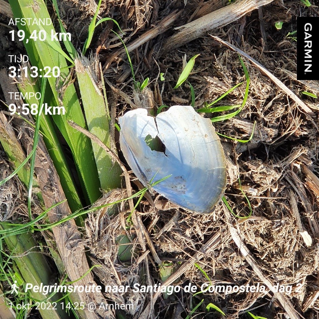 #Pelgrimsroute naar #Santiago de #Compostela, dag 2

#Arnhem - #Ressen - #Bemmel: 19,40 km

#SantiagoDeCompostela