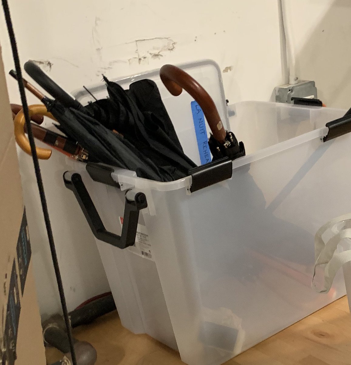 Eddie Bean tweet media