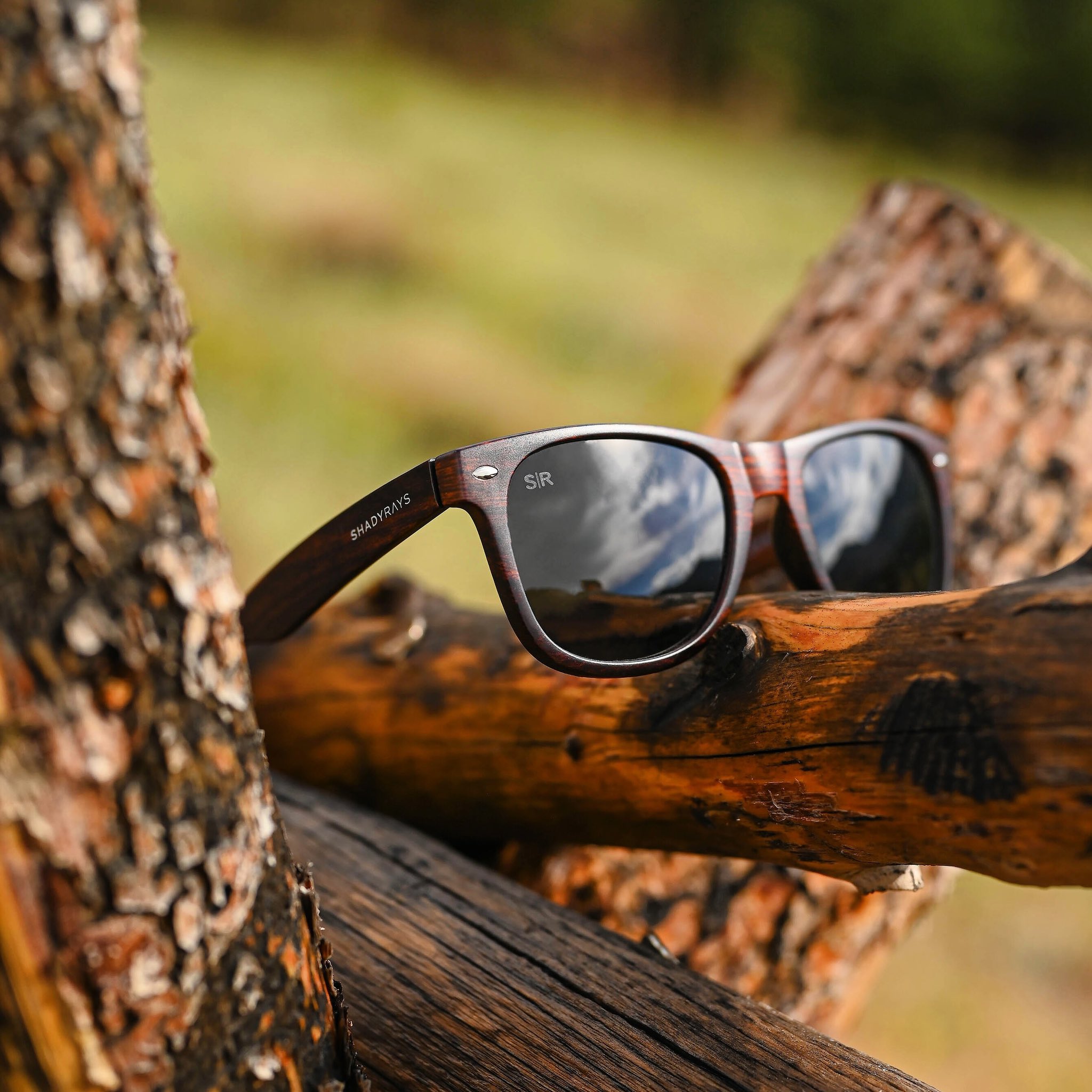 Rays Cayman Sunglasses Black Ocean Polarized Shady Rays Glasses