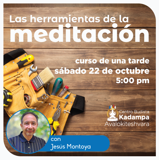 MeditarSatelite's tweet photo. Curso de una tarde - Las herramientas de la meditación
Sábado 22 de octubre 

Este curso está abierto a todo el mundo sin necesidad de experiencia previa.
Todos son bienvenidos.

▶ Información
https://t.co/AZMjwCaShe https://t.co/73hV1IRpEk