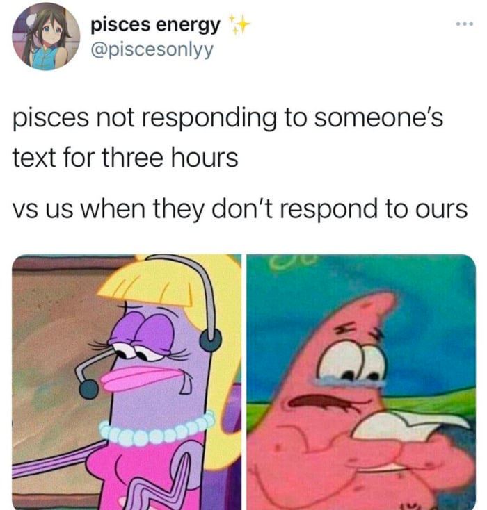 CarolineKenealy's tweet photo. #pisces #teampisces #pisces♓ #piscesgang #pisceswomen #piscesbaby #piscesnation #pisceslife #pisceswoman #piscesgirl #pisceslove #piscesbelike #piscesfacts #piscesproblems #piscespower #piscesmemes #piscesqueen #pisceshoroscope #piscesrule #piscesshit #piscesrock #piscesworld https://t.co/AaVZN2dGBD