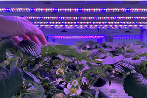 Horti Daily on Twitter: