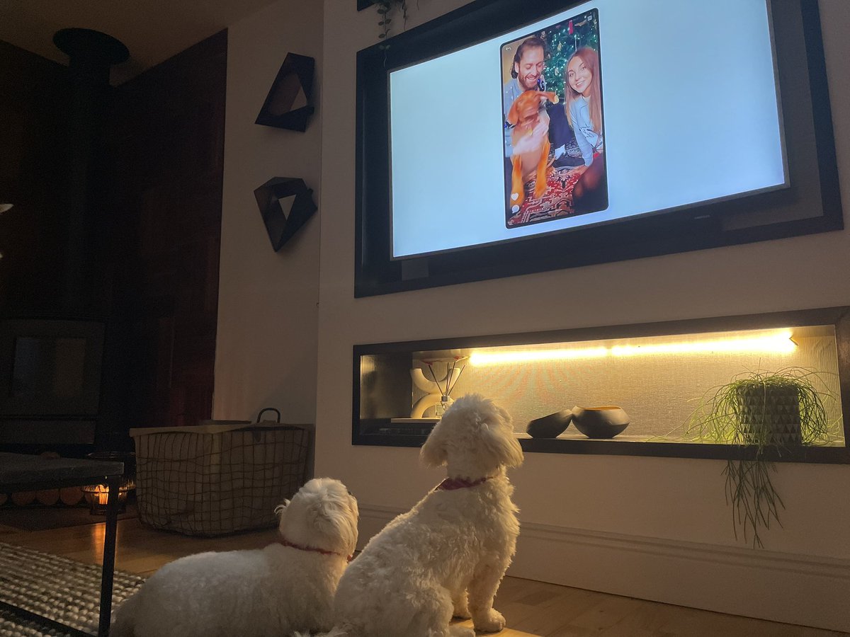 Real_Ken_Tobin's tweet photo. The two obsessed with #HashtagDogs on @rte 🤦‍♂️ 🐶 🐶 https://t.co/x1skDw9nss