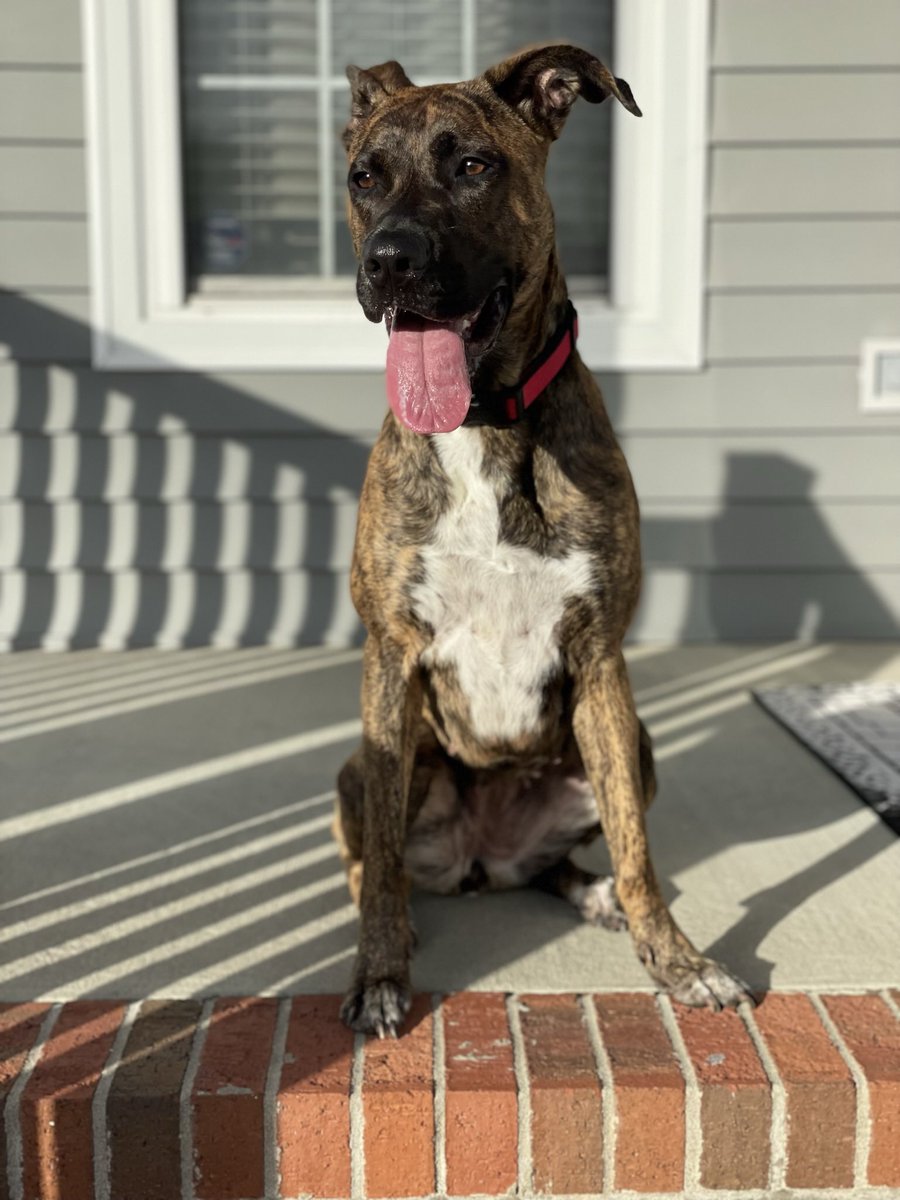 _LittleJB's tweet image. My world 🌎 💜