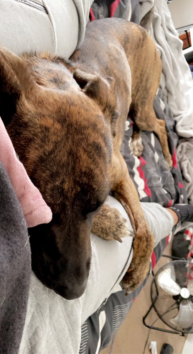 _LittleJB's tweet image. My world 🌎 💜