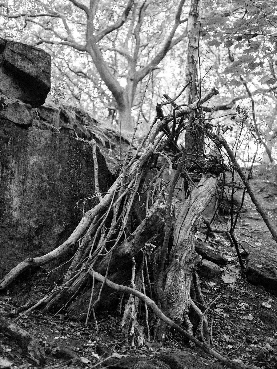 sam_morrey's tweet photo. Deep in Meanwood. 

#photography #meanwood #leeds https://t.co/E24rZS8okg