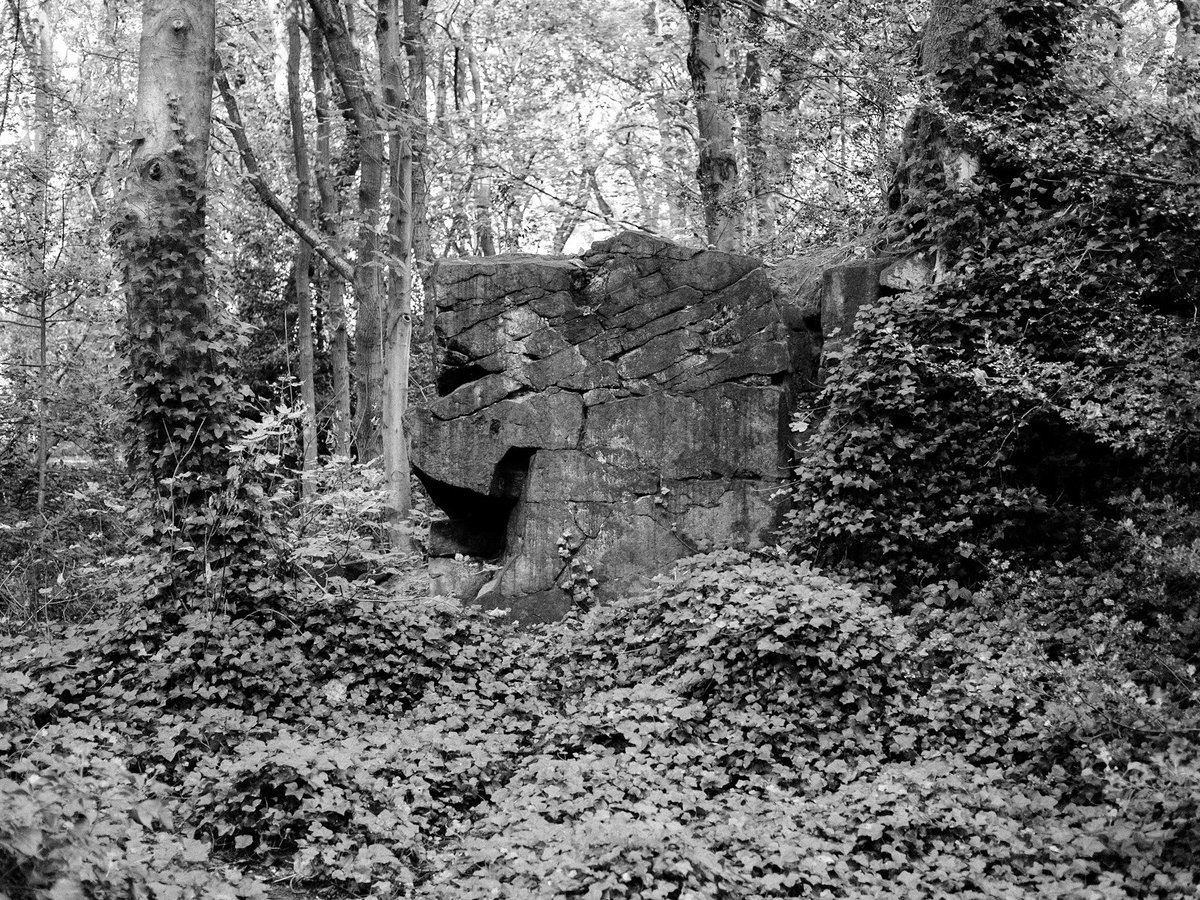 sam_morrey's tweet photo. Deep in Meanwood. 

#photography #meanwood #leeds https://t.co/E24rZS8okg