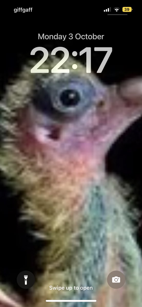 Cyan_TJ's tweet photo. @Memeulous I’d love to explain, but I cannot… https://t.co/gFAtLJ5M7W