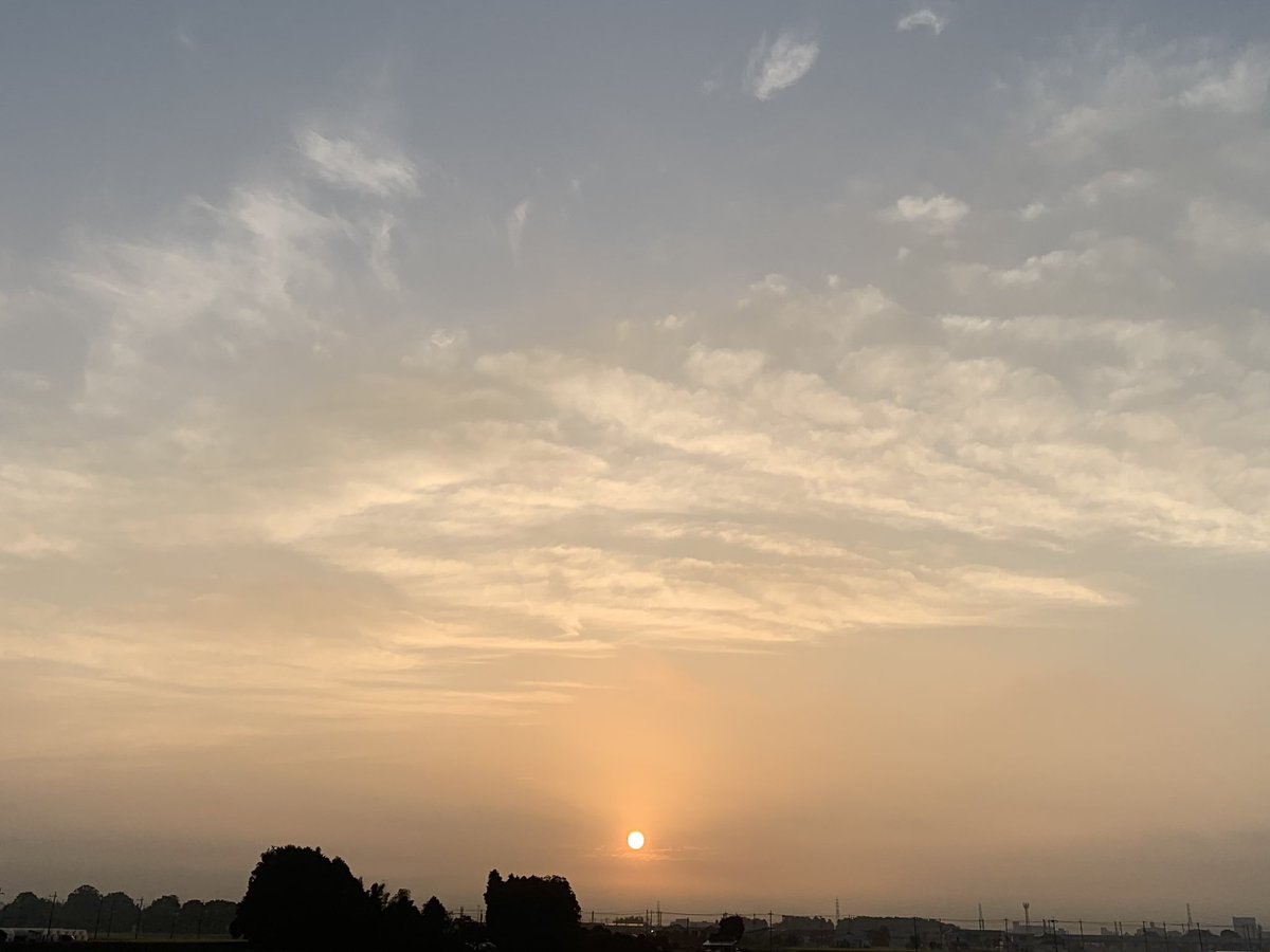 おはようございます｡☀️ 今朝の11kmラン､お腹がへった。 走った後の､食事は美味しい｡😋 特にこの時季､格別ですね。 今日の昼食､何に 食べましょうか♪ ٩(๑❛ᴗ❛๑)۶ https://t.co/ZY7qI4OA4H