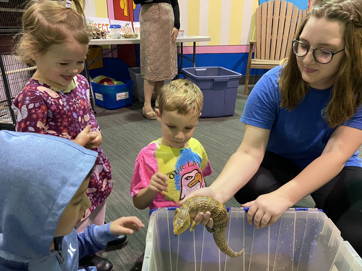 Yorktown Virtual Academy tweet media