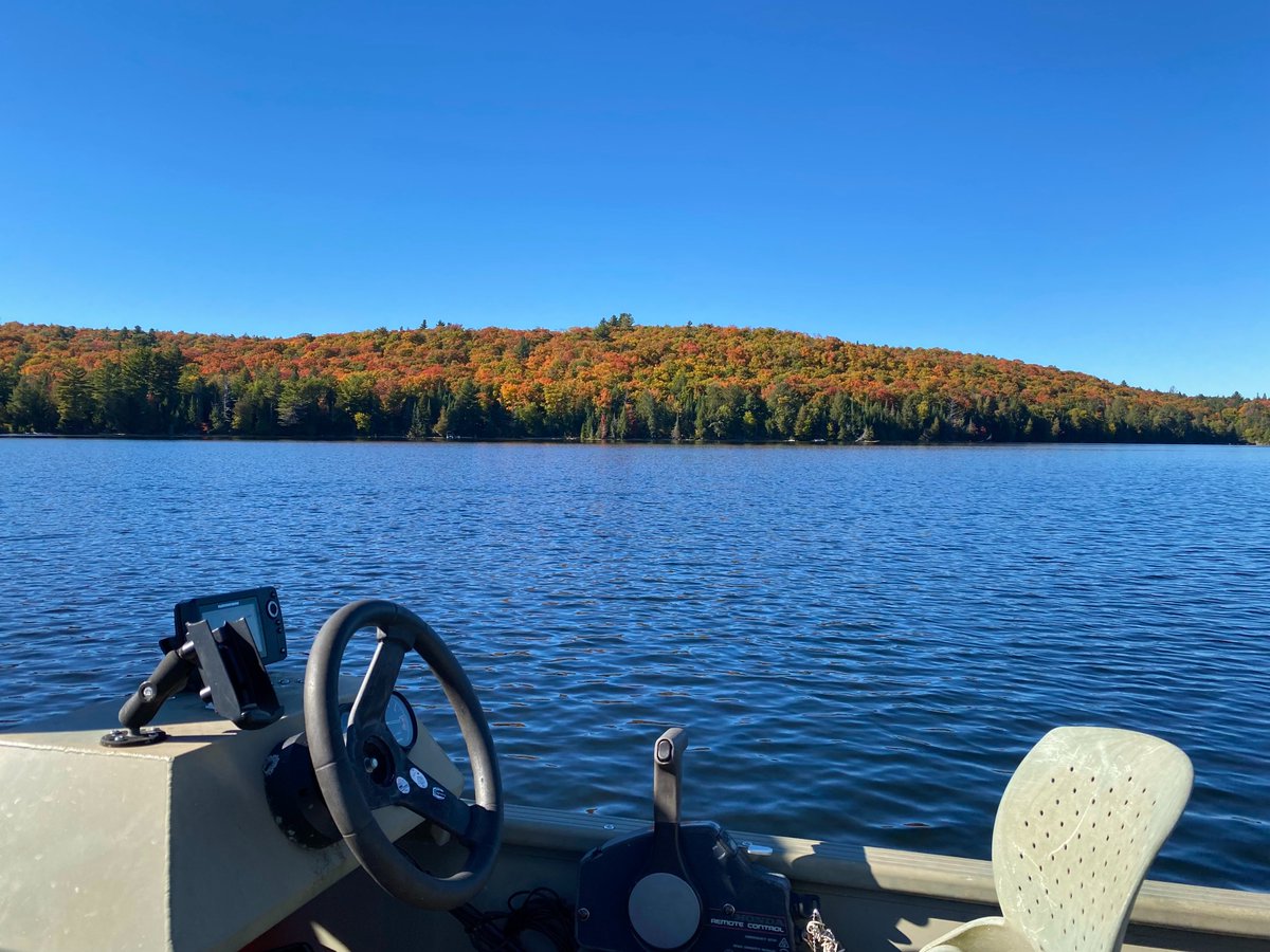 BStudden's tweet image. Excited to have begun fieldwork for my MSc! Over the past two weeks, I have been helping out @OpeongoTweets with a large-scale telemetry download. 

A big thank you to @a_fishy_fern @andersenALs @tazi_rodrigues @charlotteamward and everyone who helped. A true team effort!