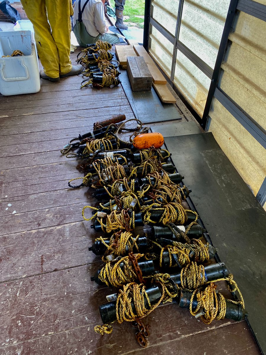 BStudden's tweet image. Excited to have begun fieldwork for my MSc! Over the past two weeks, I have been helping out @OpeongoTweets with a large-scale telemetry download. 

A big thank you to @a_fishy_fern @andersenALs @tazi_rodrigues @charlotteamward and everyone who helped. A true team effort!