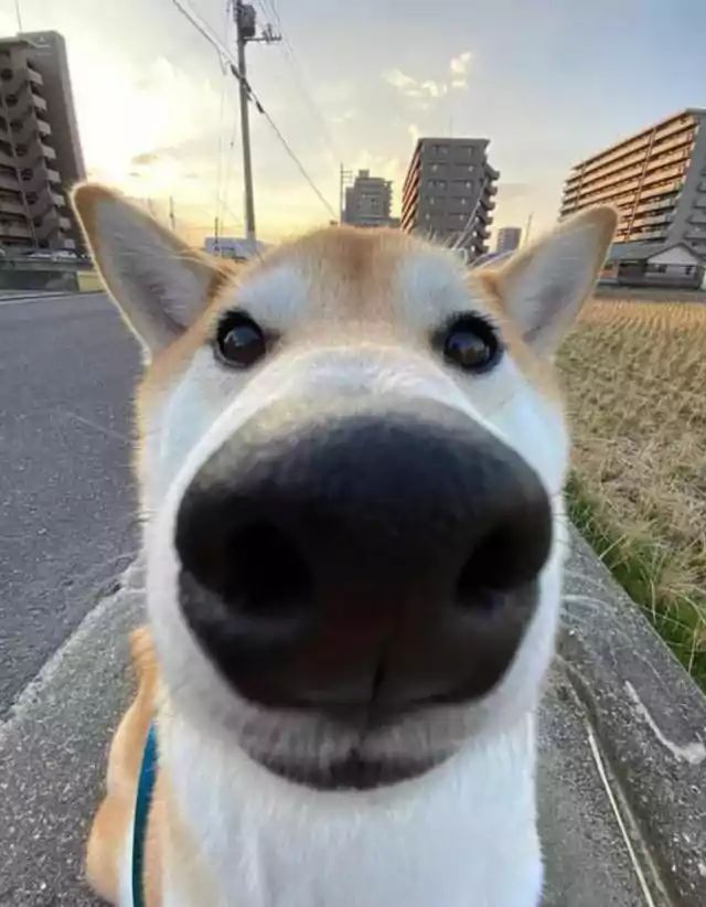 Littlescout10's tweet photo. @_drista_ I can do a face reveal https://t.co/sTstgaKwAd