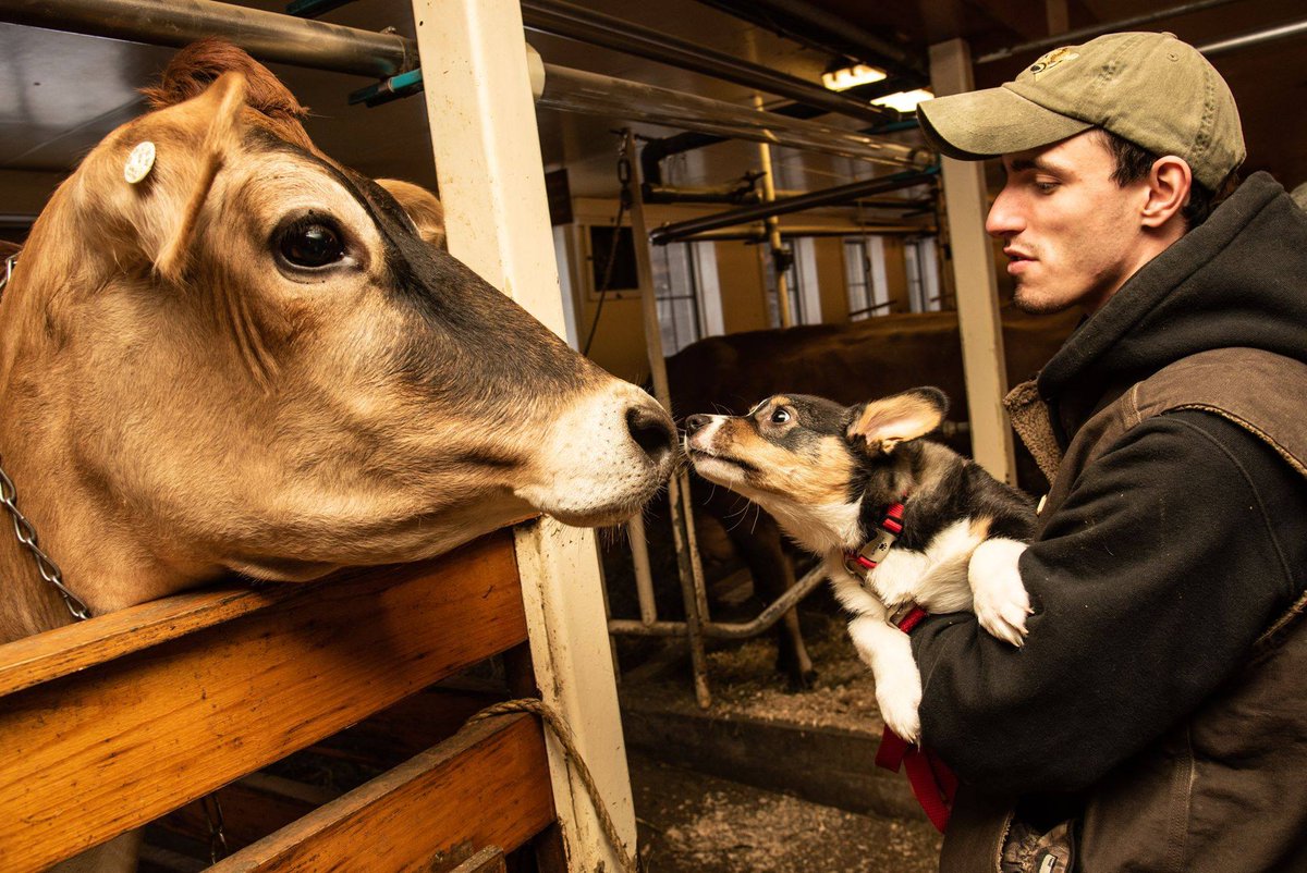 National Milk Producers Federation tweet media