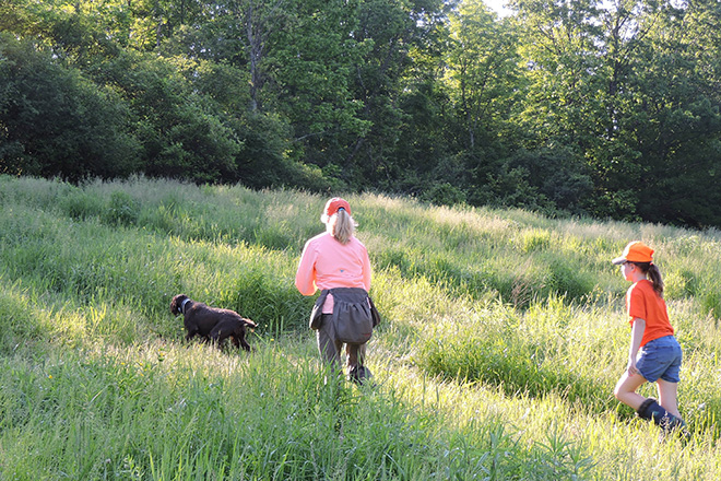 pheasants4ever's tweet image. Read: "Through the Eyes of a Youth." Running the NAVHDA Natural Ability test as a 9-year-old. Hit the link below to read the full story.

This story brought to you by the North American Versatile Hunting Dog Association.

bit.ly/3Ec4TRc

#navhda #dogtraining #birddog