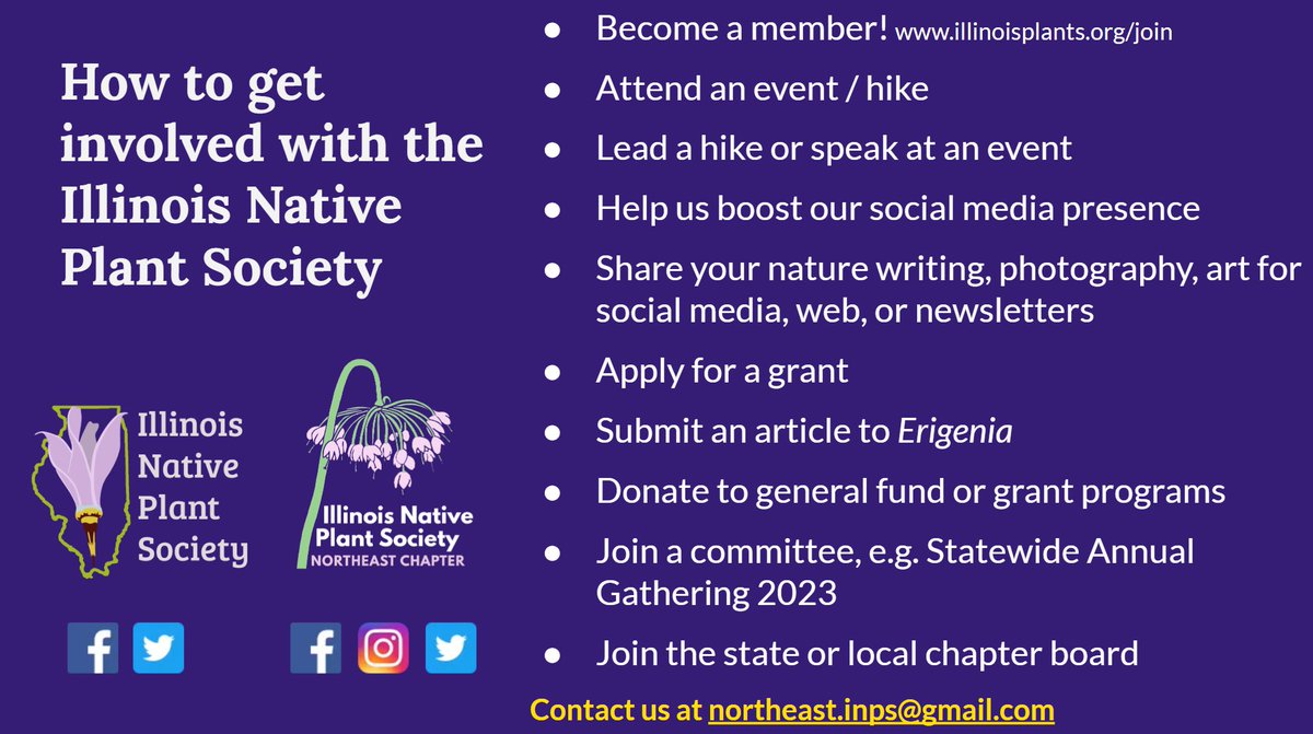 Are you passionate about native plants and want to contribute to their conservation? Then consider joining the INPS team!
bit.ly/3C2Wf56