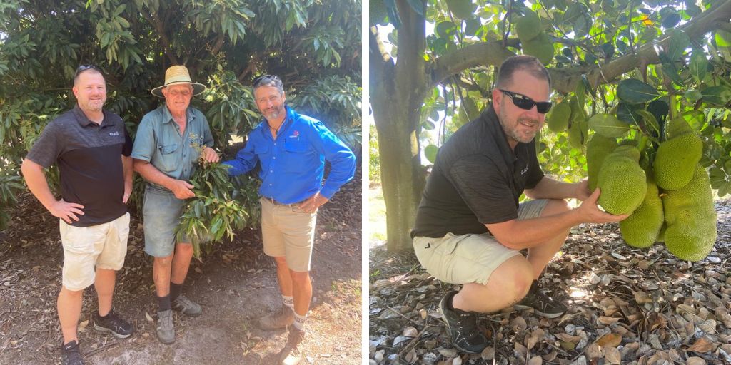 AgspecAus's tweet photo. How’s this for a tropical #fruit selection! 🥭
Steve Doench from @ExactoInc continues his #AquiMax workshop series with @FrankAgspecAU from the #Agspec team. Frank & Steve got out in the field to inspect #lychees, #mangoes, #papaya & #jackfruit. https://t.co/cq2UI1Cyfx