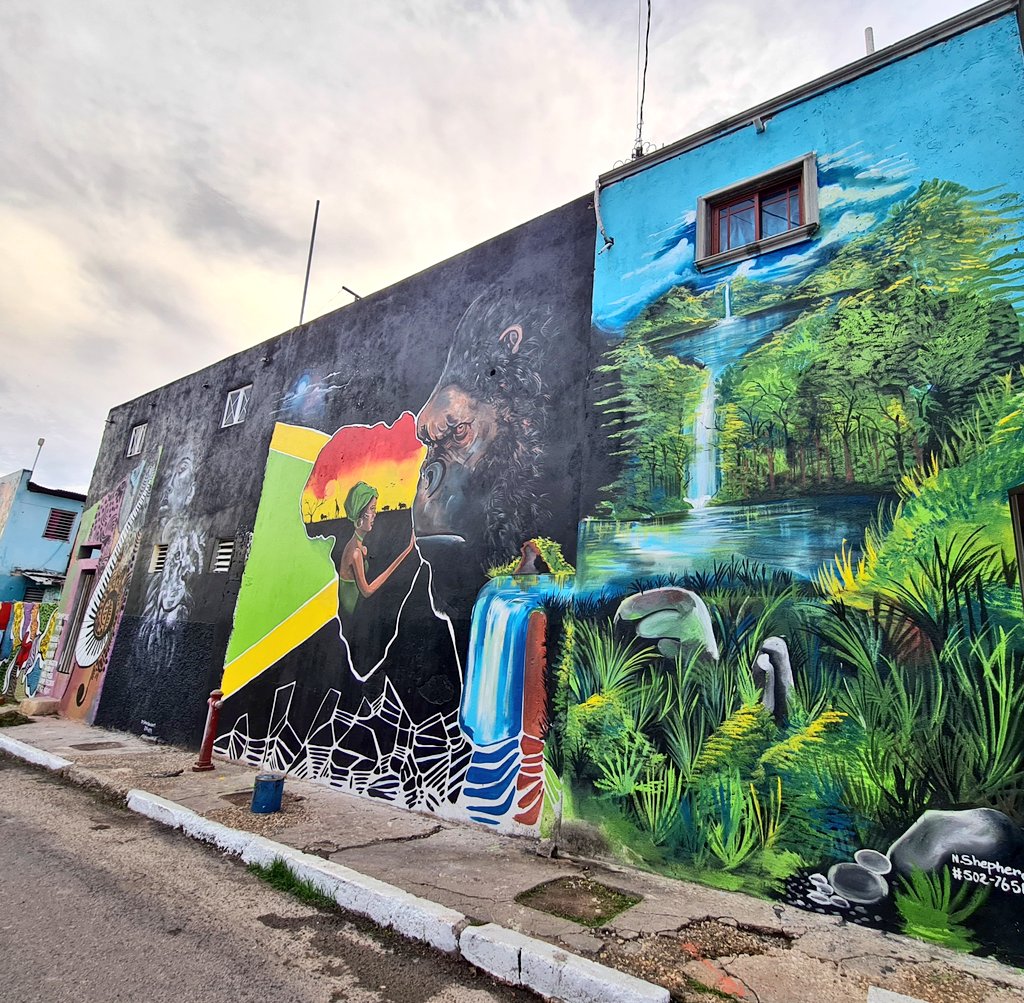 dempsterchung's tweet photo. New community-led mural project in Tivoli Gardens 3/4
#lifechild #ArtEvolution #DowntownKingston https://t.co/sCy0wgObur