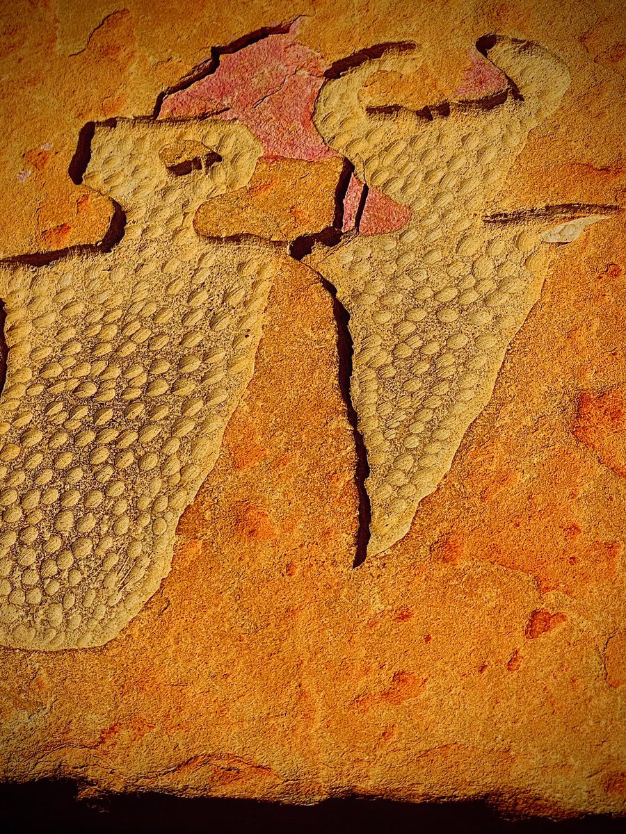 rich_olsen's tweet photo. When you find petroglyphs deep in the red desert and decide to add it to your photography resume.  I feel alive in great moments like this!  Life is an adventure! #adventure #petroglyphs https://t.co/BW7Tj6NviO
