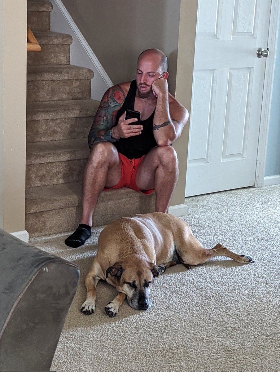 Alan Bahadori (@alanbahadori1) on Twitter photo 