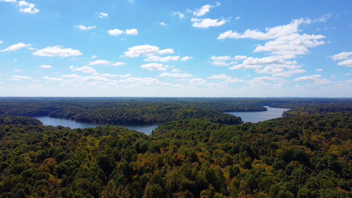 Rookas's tweet image. It was beautiful at Taylorsville Lake State Park today!