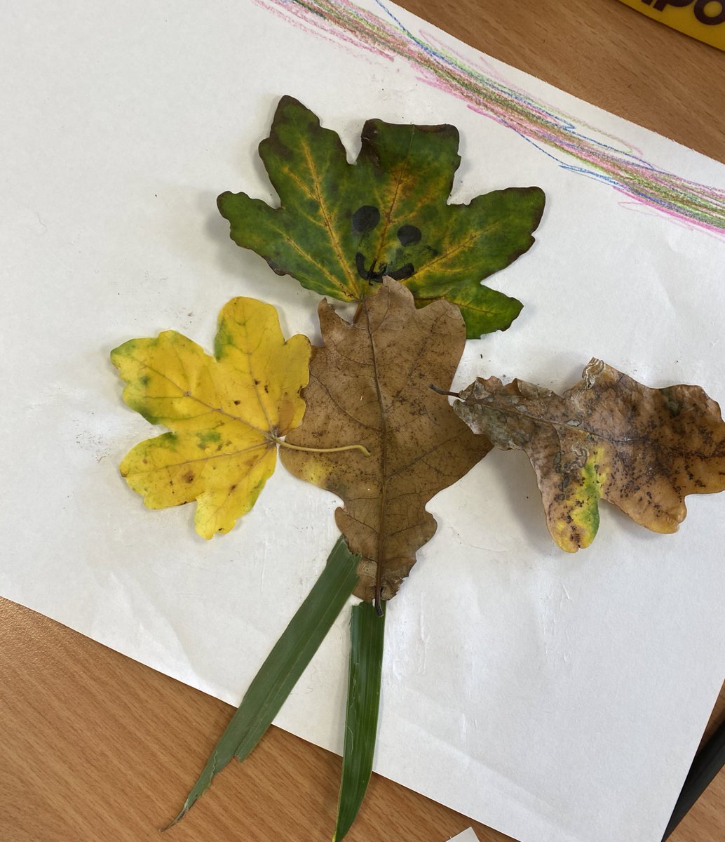 Otters_MP's tweet photo. Leaf art inspired by the book Leaf Man - part of our science topic on plants 🍂 https://t.co/cOe7MLzQSY