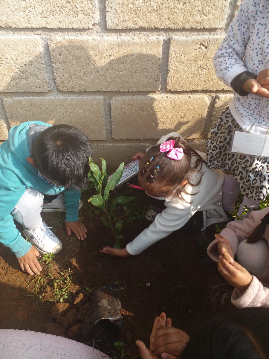 MirkisGonz's tweet photo. #unarbolunfuturounalumno
El jardin de Niños Sor Juana Inés de la Cruz 15EJN4390O zona J235
Volora el amor por la vida el cuiado del medio, por un planeta mejor.
@SrebVb
@TinocoGRogelio
@Probosque_
@CampoEdomex https://t.co/sZ4Sv139Ew