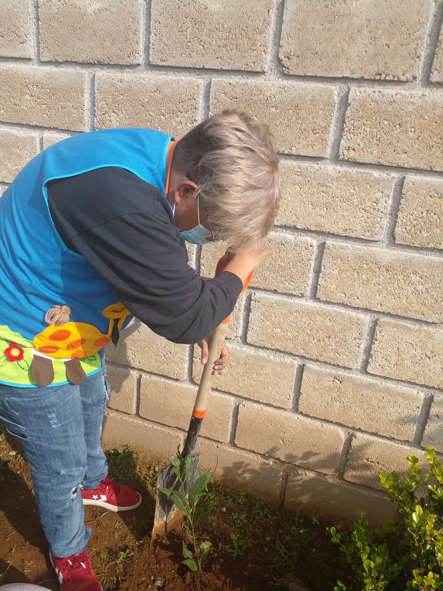 MirkisGonz's tweet photo. #unarbolunfuturounalumno
El jardin de Niños Sor Juana Inés de la Cruz 15EJN4390O zona J235
Volora el amor por la vida el cuiado del medio, por un planeta mejor.
@SrebVb
@TinocoGRogelio
@Probosque_
@CampoEdomex https://t.co/sZ4Sv139Ew