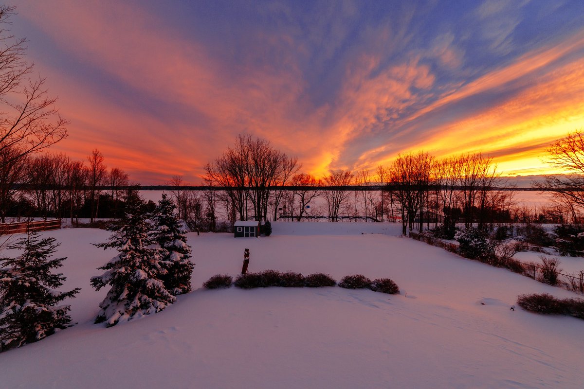 Vitums_'s tweet image. 