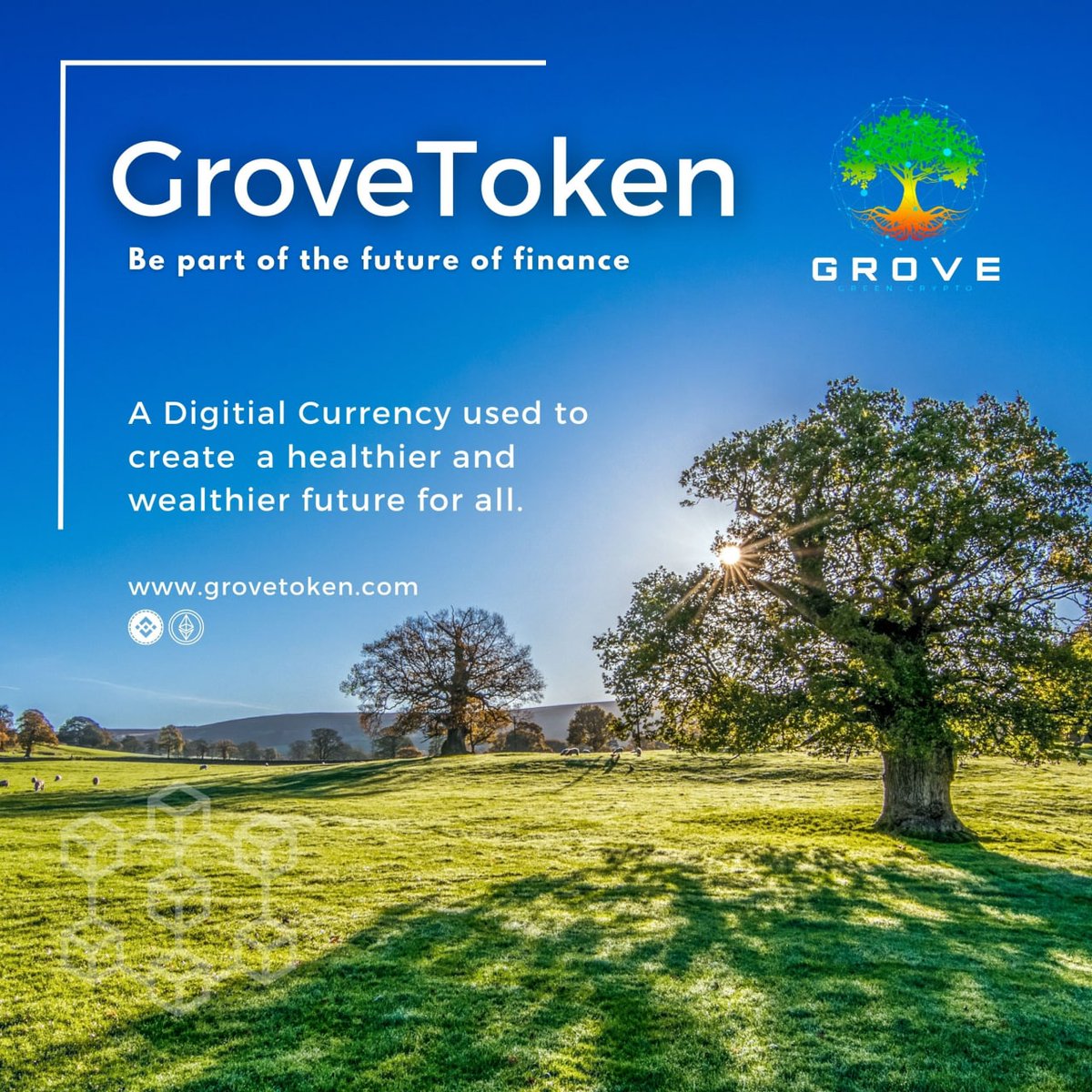 GroveToken's tweet photo. We have a huge week ahead of us! 

New investors are about to experience #GroveToken a #Crypto Project like no other.

Lets enjoy the week together #GroveGreenArmy

#GVR #news #Blockchain #bnb #ETH #hydroponics #environment #GreenCrypto #cryptonews #CryptoExpo #Trending https://t.co/4y5KdNwSDV