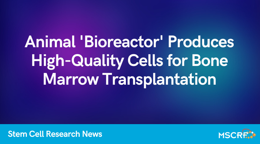 Animal 'Bioreactor' Produces High-Quality Cells for Bone Marrow Transplantation. Learn more: ow.ly/rzgS50L0kYT 

Mentioned: <a href="/CincyChildrens/">Cincinnati Children's</a>, Vlad Kalinichenko, MD, PhD
#biology #stemcells #research #xenotransplantation #biotechnews #celltherapy