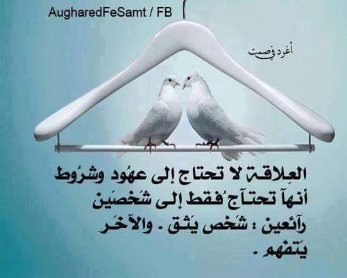 Ayman_Emoo_'s tweet photo. هو دة الا الواحد بيدور علية
#Emooo
#goodnight
#GoodEvening https://t.co/HJjbfYvetq