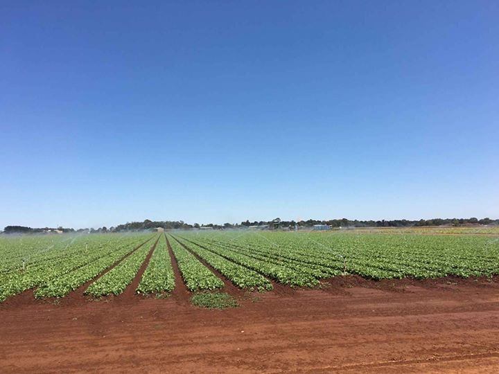 Are you an agri-business in Werribee South? Got the 💩 with NBN?

Summit Internet can supply you with high-speed internet for your agri-business within 10 business days, or your 1st month is on us!

#werribee #werribeesouth #fixedwireless #notnbn