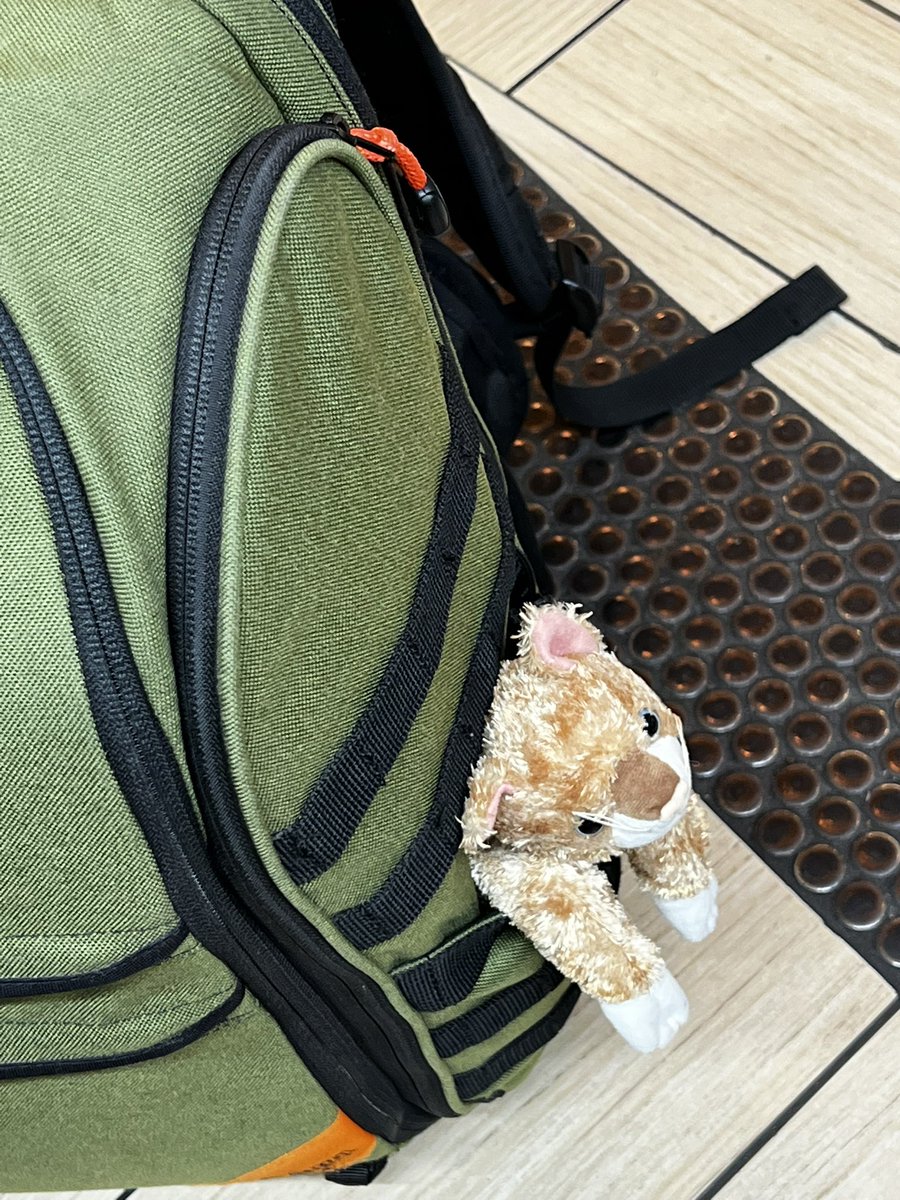 atlasgames's tweet photo. Oooh. Where is #TruckerKitty off too? https://t.co/0ow0S1fCDr