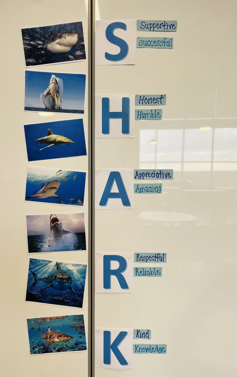 CaroleBossert's tweet photo. What does it mean to be a @SouthPointeEIPS school SHARK? 🦈 Stay tuned as we create a collaborative definition together!! @eips @jojomom1974 @SPS5E #sharkmotivation #sharkasm #mamashark https://t.co/BBWEJUD5JV