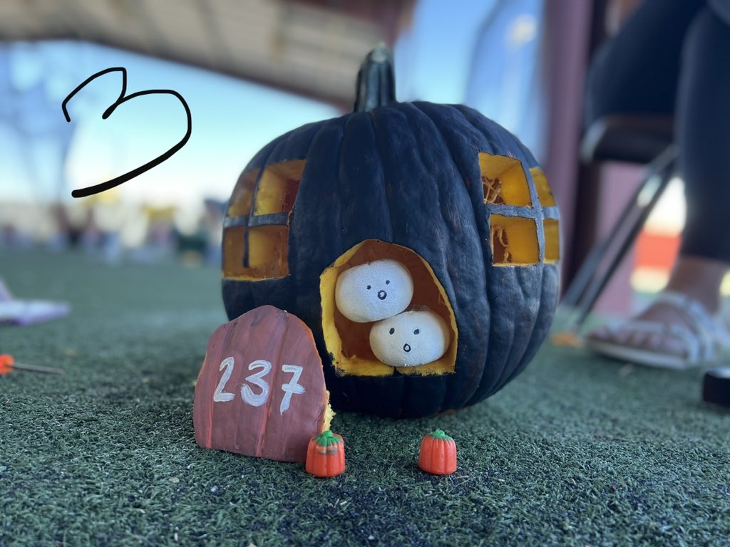 MSUTexasSB's tweet photo. ๐จ VOTES OPEN! ๐จ
Drop your favorite number pumpkin in the comments!
#FTFWTF | #stanggang https://t.co/DQati6cUUi