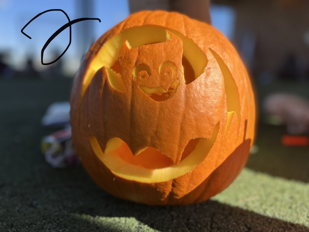 MSUTexasSB's tweet photo. ๐จ VOTES OPEN! ๐จ
Drop your favorite number pumpkin in the comments!
#FTFWTF | #stanggang https://t.co/DQati6cUUi