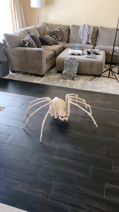 i got a spooky pet!! 🕷 https://t.co/q0HMj0OxfR<a href="/tag/asmr"class="tags"><span>#asmr</span></a>